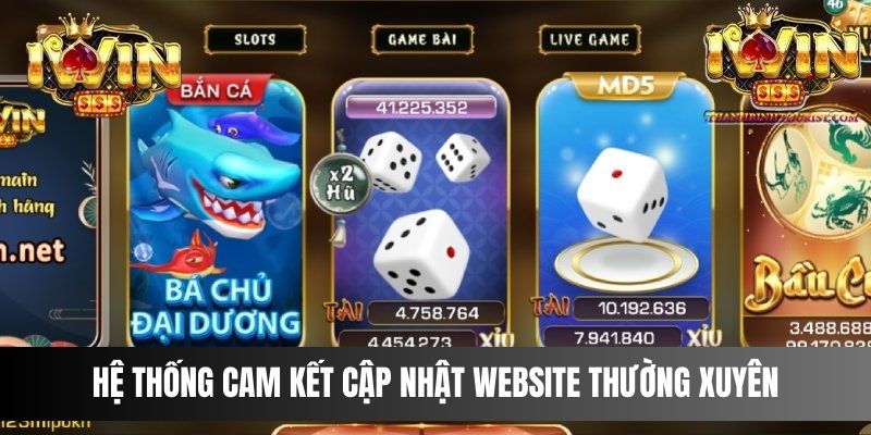 Hệ thống cam kết cập nhật website thường xuyên