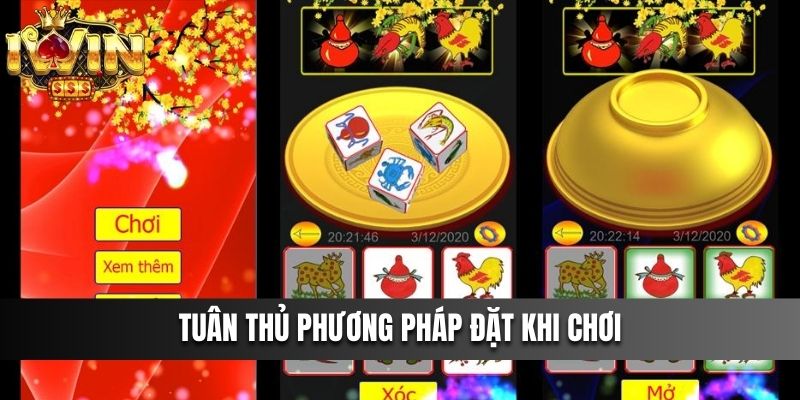 Tuân thủ phương pháp đặt khi chơi Bầu Cua IWIN